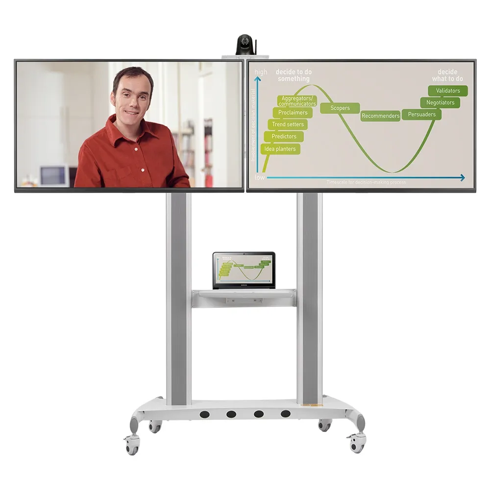 Screen Stand - Dual Display