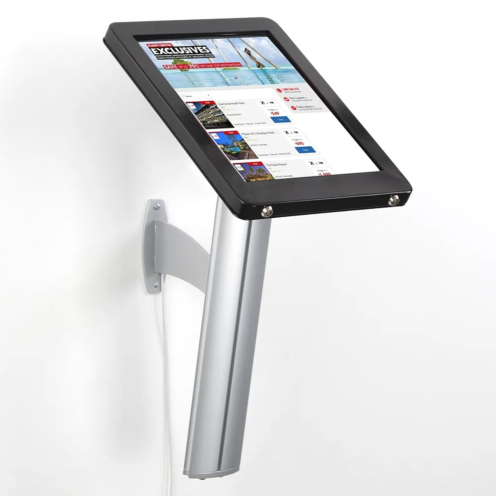 12.9 iPad Mount